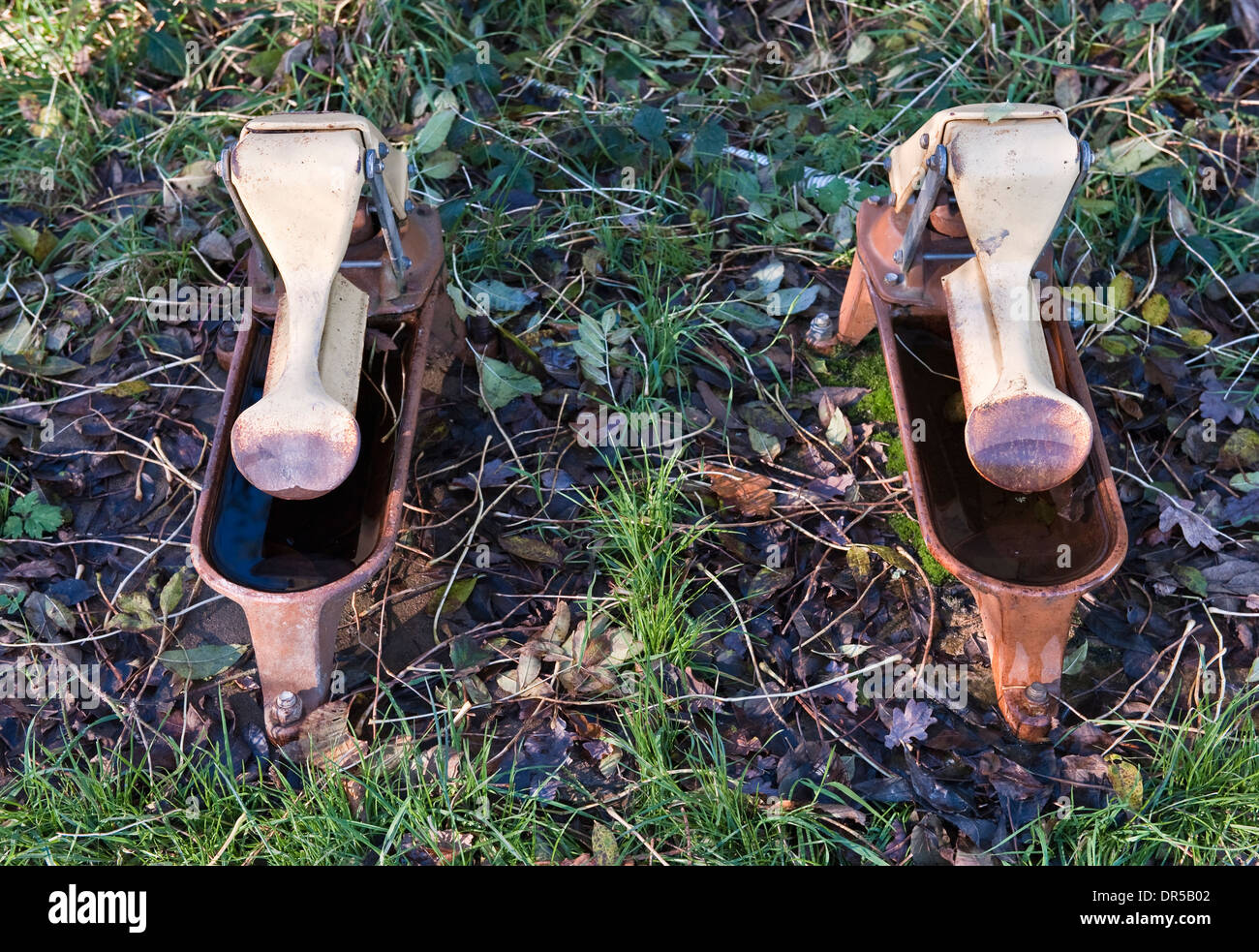 Bevitori automatico per bovini, REGNO UNITO Foto Stock