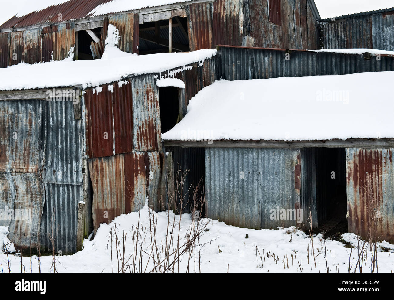 Neve che copre un vecchio e arrugginoso stalla di ferro su una fattoria in inverno, Regno Unito Foto Stock