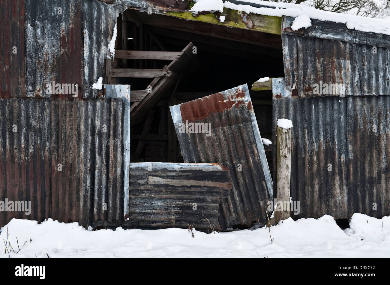 Neve che copre un vecchio e arrugginoso stalla di ferro su una fattoria in inverno, Regno Unito Foto Stock