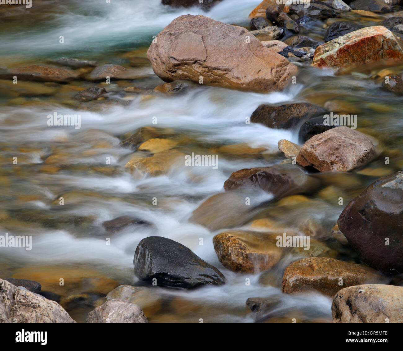 Dettaglio del fiume in Canon de Anisclo nella regione di Aragona di Spagna Foto Stock