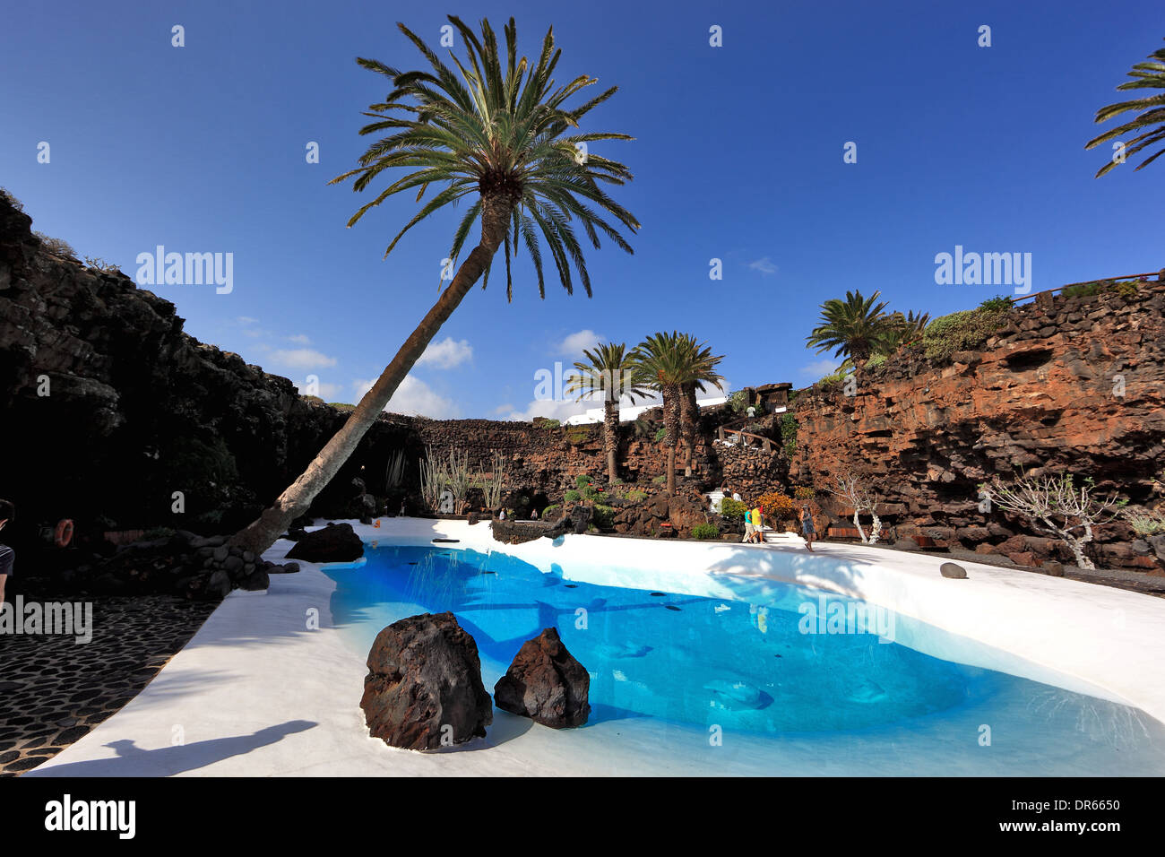 Piscina artificiale nel Jameos del Agua, nel campo di lava del Volcan de la Corona, Lanzarote, Isole Canarie, Canarie, Spagna Foto Stock