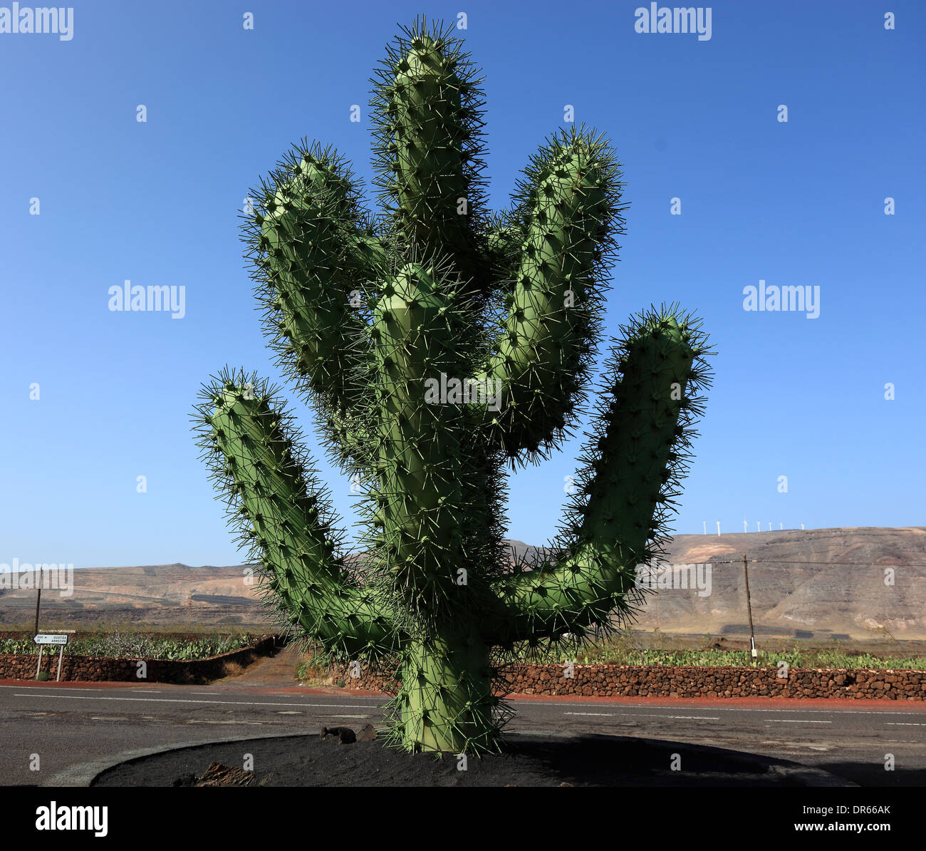 Grandi cactus di metallo, il giardino dei cactus di fronte al Jardin de  Cactus a Guatiza, Lanzarote, Isole Canarie, Canarie, Spagna Foto stock -  Alamy