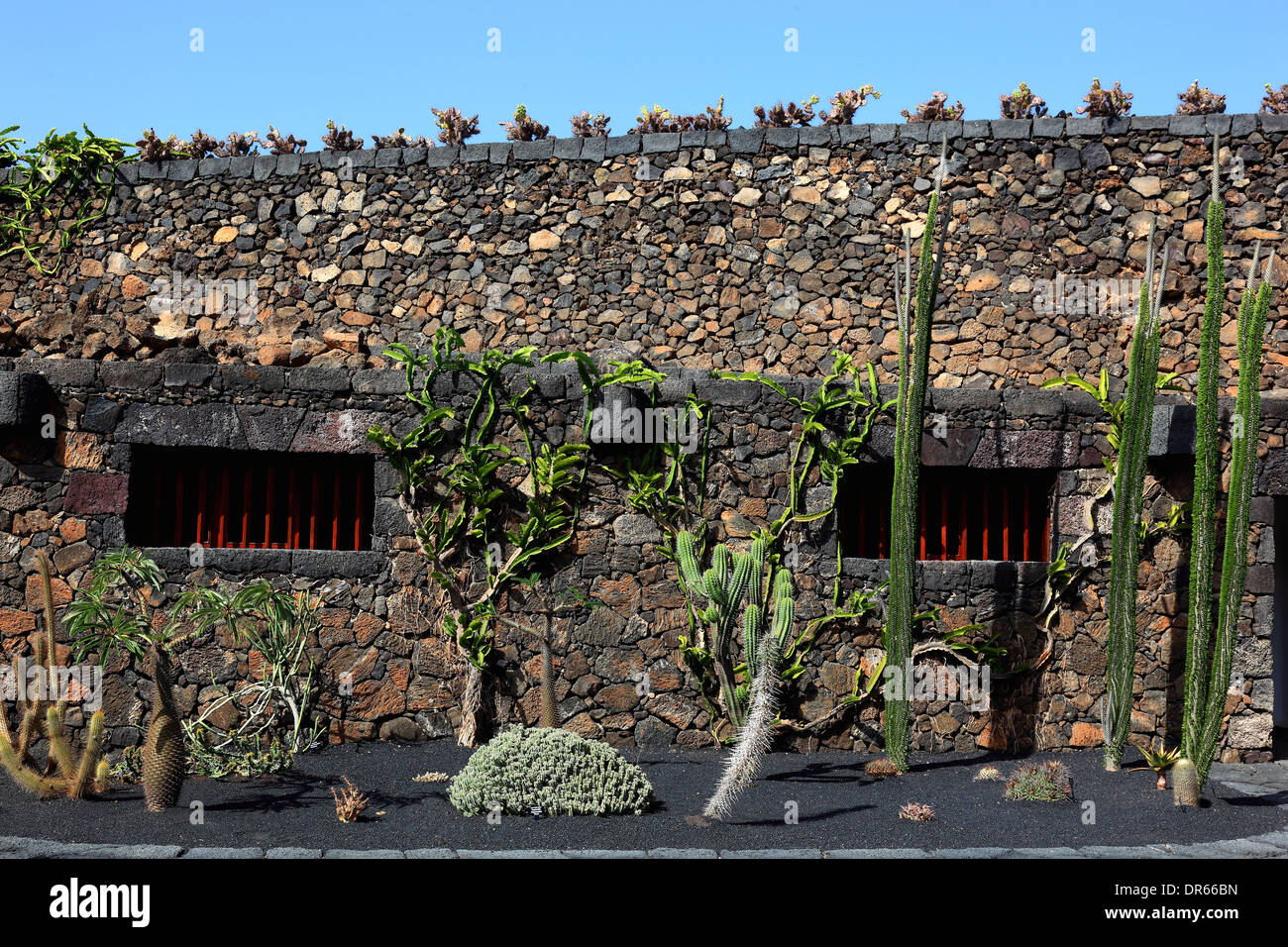 Il Giardino dei Cactus Jardín de Cactus a Guatiza, Lanzarote, Isole Canarie, Canarie, Spagna Foto Stock