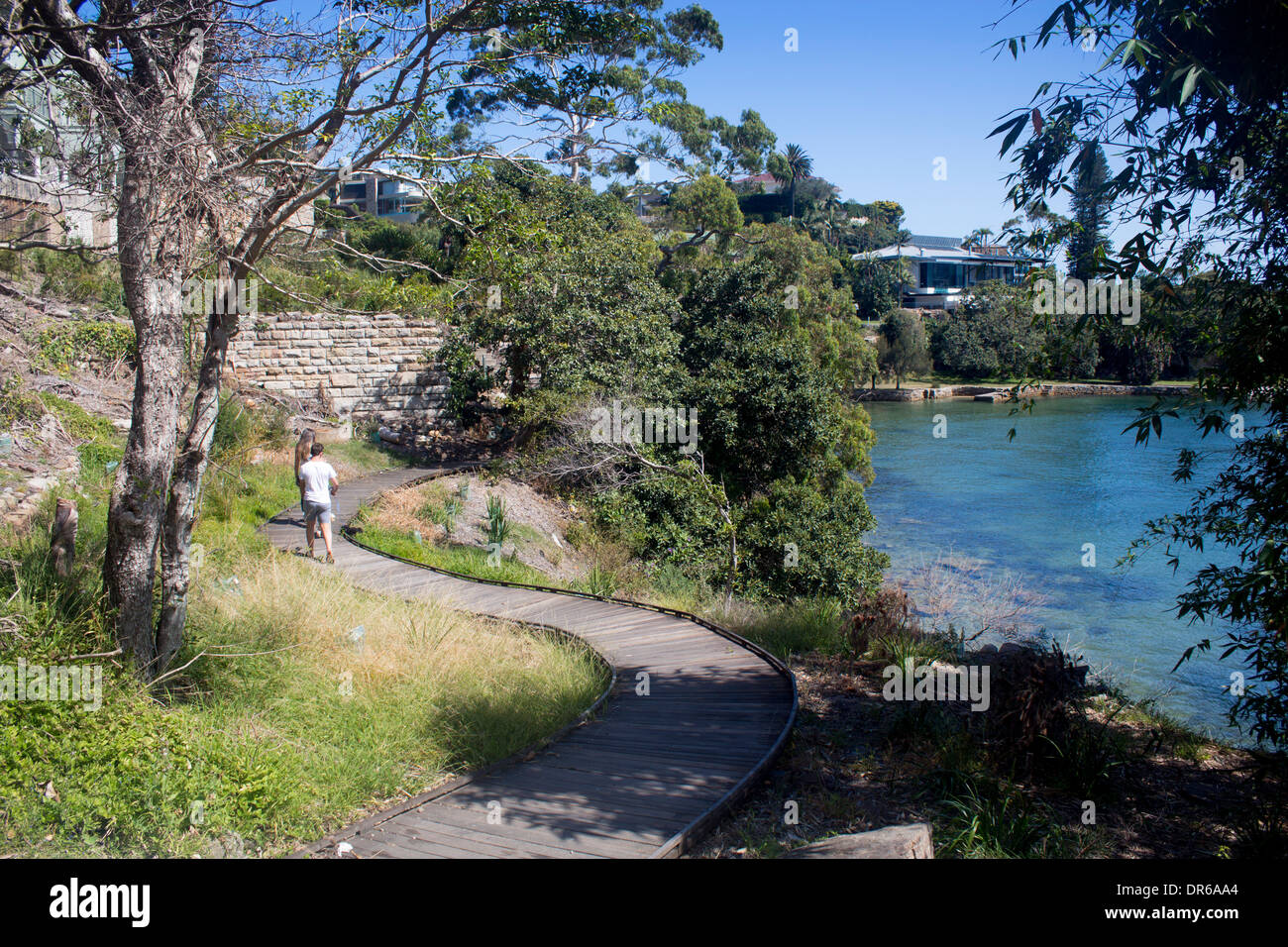 Il Boardwalk su Hermitage Foreshore a piedi il porto di Sydney National Park Sydney New South Wales NSW Australia Foto Stock