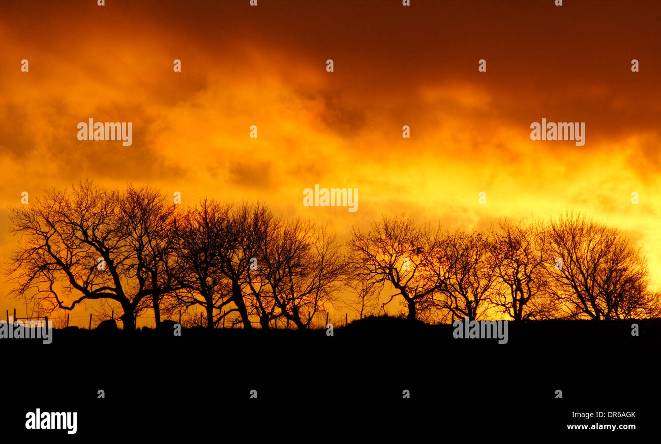 Un tramonto sagome di alberi in Middleton Moor vicino Stoney Middleton nel Derbyshire's Peak District. Regno Unito. - Inverno Foto Stock
