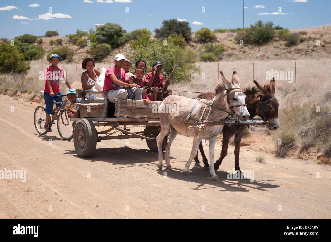 Famiglia della South African Karoo domenica alla guida delle loro asino carrello Foto Stock