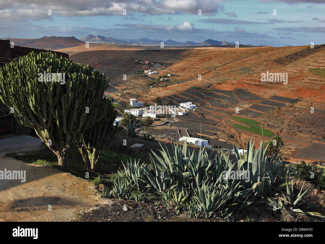 Viste di Los Valles, vicino a Haria, Lanzarote, Isole Canarie, Canarie, Spagna Foto Stock