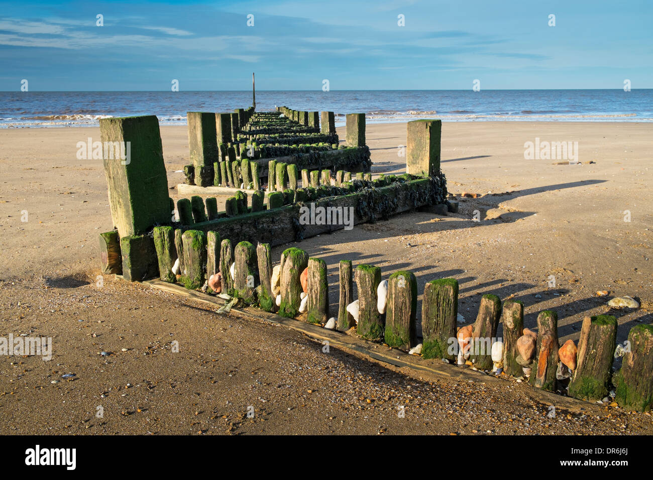 Pennelli in legno sulla spiaggia a Hunstanton, Gennaio Foto Stock