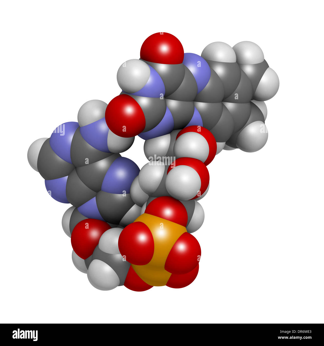 Flavina adenina dinucleotide (FAD) redox molecola di coenzima. Gli atomi sono rappresentati come sfere convenzionale con codifica a colori Foto Stock