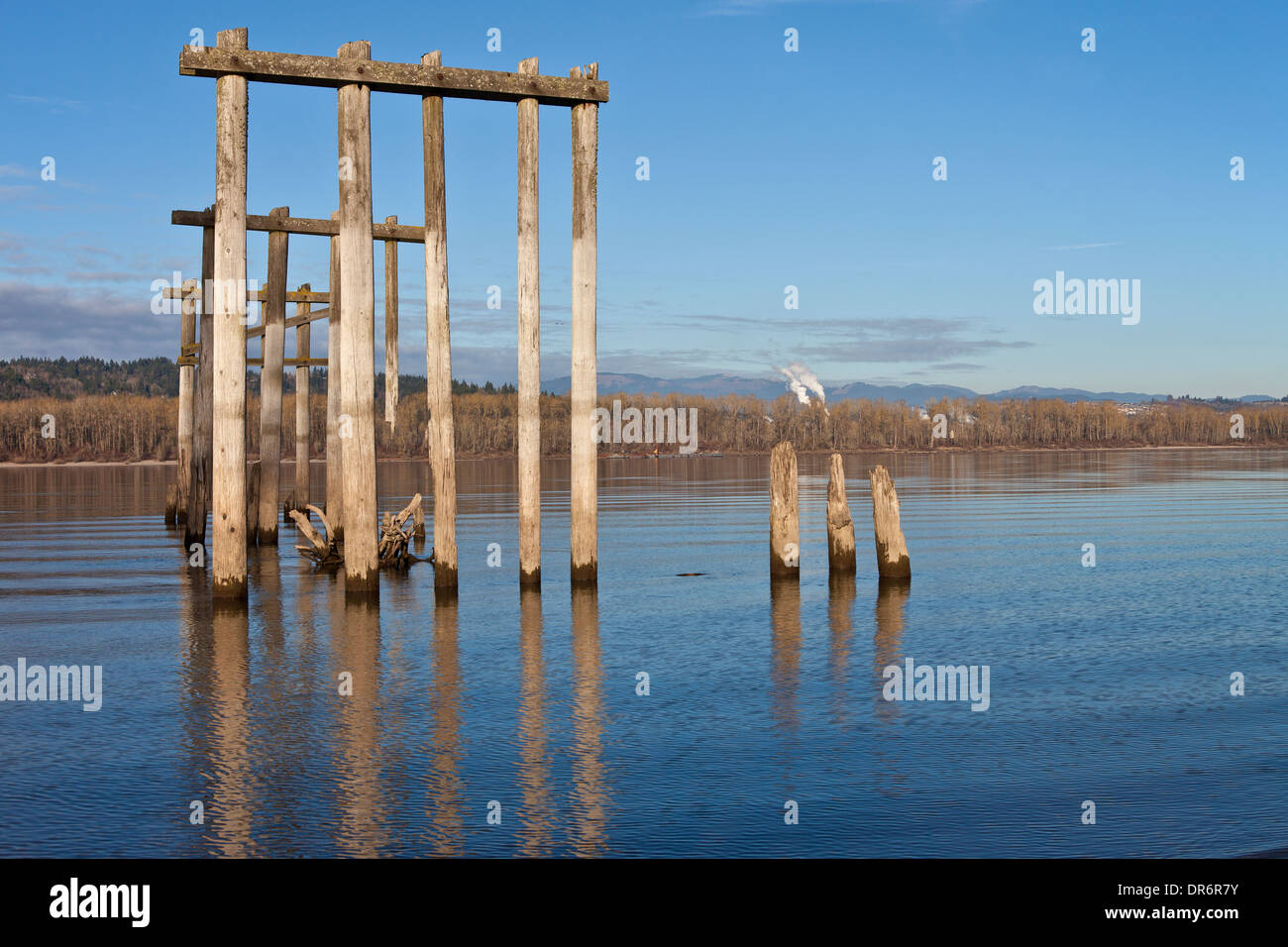 Log dal passato la costruzione di marciume nel fiume Columbia Oregon. Foto Stock