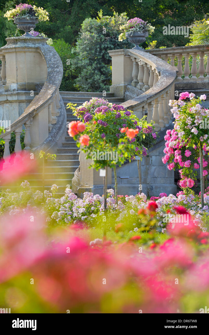 Germania, Baden-Württemberg, Isola di Mainau, scala in italiano il Giardino delle Rose Foto Stock
