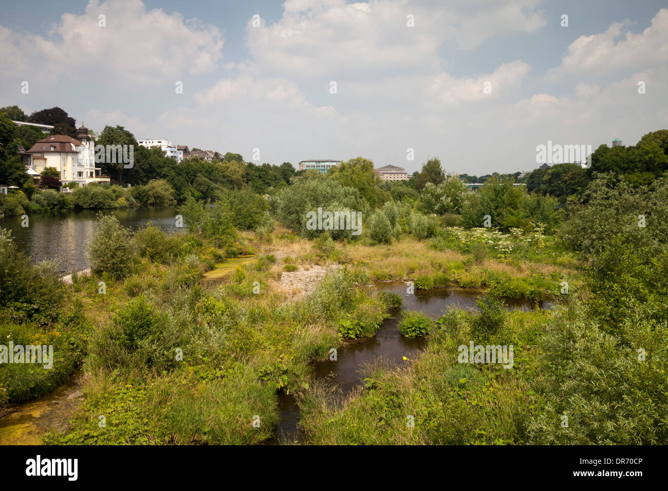 In Germania, in Renania settentrionale-Vestfalia, Muelheim an der Ruhr, riserva naturale Saarn-Mendener Ruhraue Foto Stock