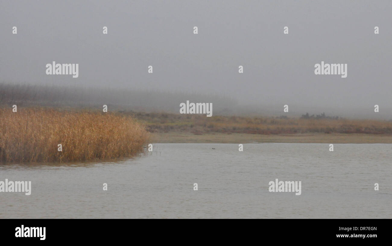 Lago la foschia e la nebbia con erba gialla Foto Stock