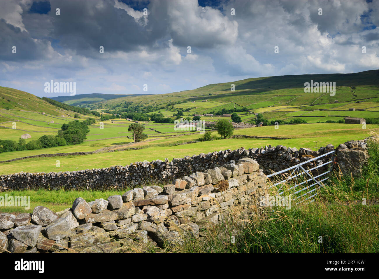 Granai in pietra vicino Thwaite in Swaledale superiore nel Yorkshire Dales National Park Muker Richmondshire North Yorkshire, Inghilterra Foto Stock