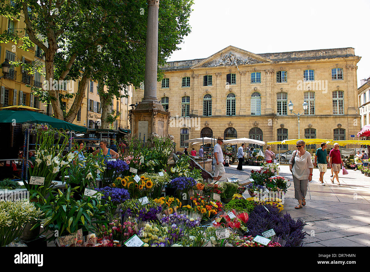 Il mercato dei fiori, Aix-en-Provence, Francia Foto Stock