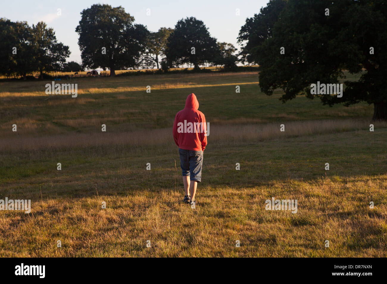 Uomo a piedi, campagna, Parte superiore rossa, estate, passeggiate Foto Stock