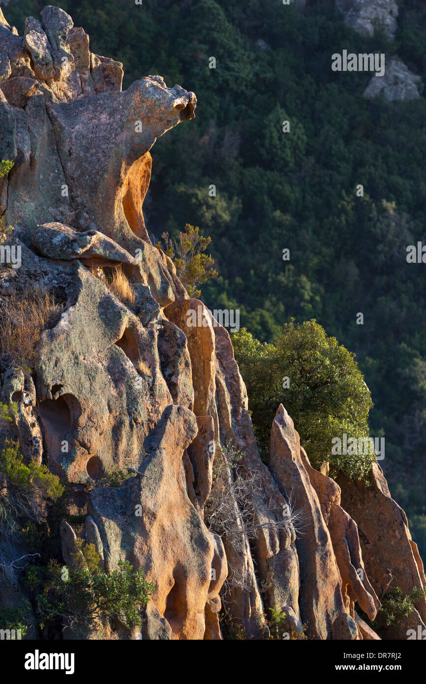 Bizzarre erosioni rock nella luce della sera, Calanche, Les Calanches de Piana, Corse-du-Sud, Corsica, Francia Foto Stock