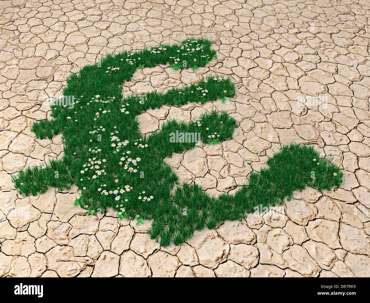 Erba che cresce in forma di un simbolo euro sul suolo arido Foto Stock