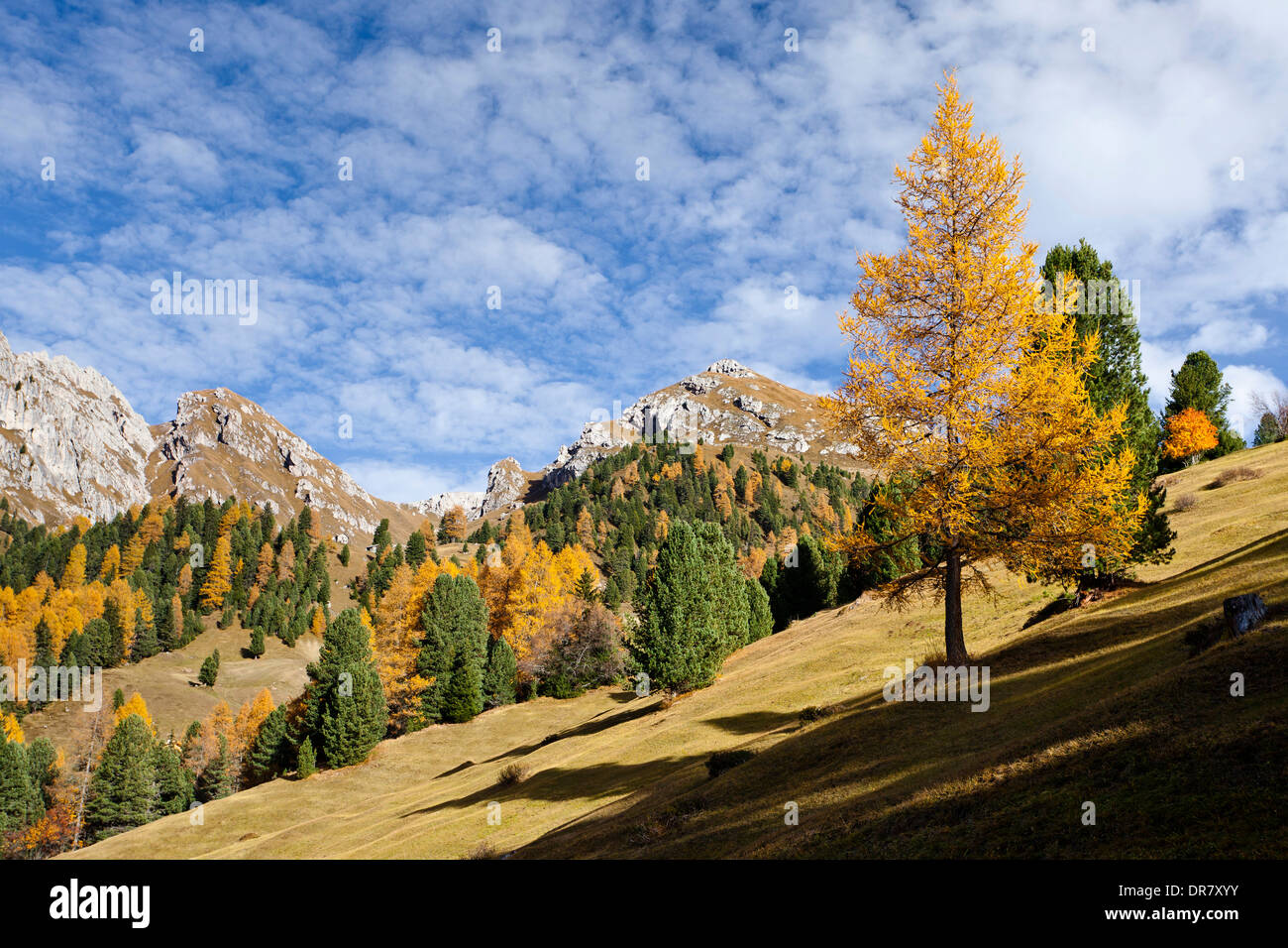 Paesaggio di prati Gampenwiesen, di fronte Zendleser Kofel montagna, Puez-Geisler Natura Park, Val di Funes, Dolomiti Foto Stock