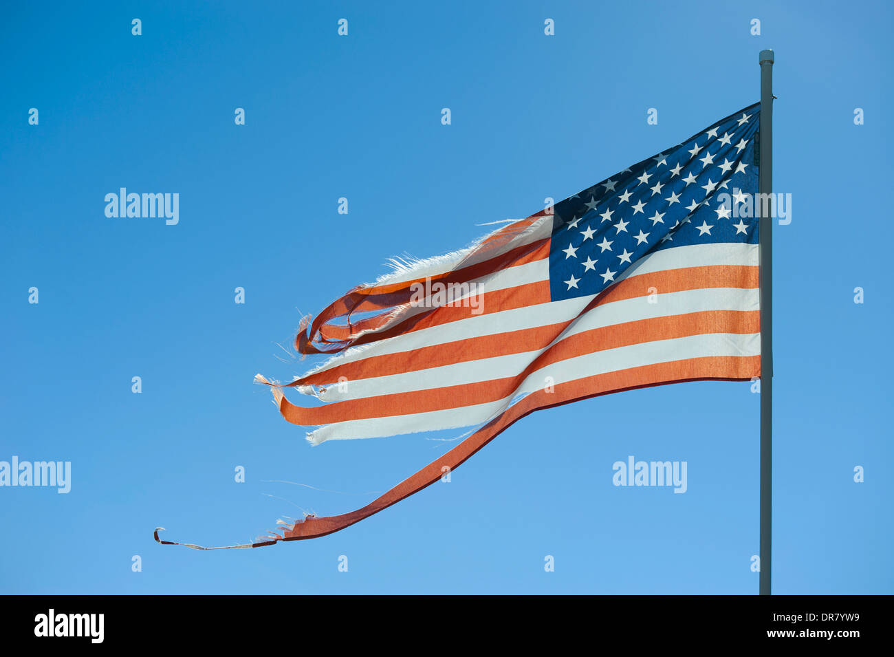 Stati Uniti d'America American strappato strappato strappato noi bandiera shredded nel vento volare su un personale o pennone Foto Stock