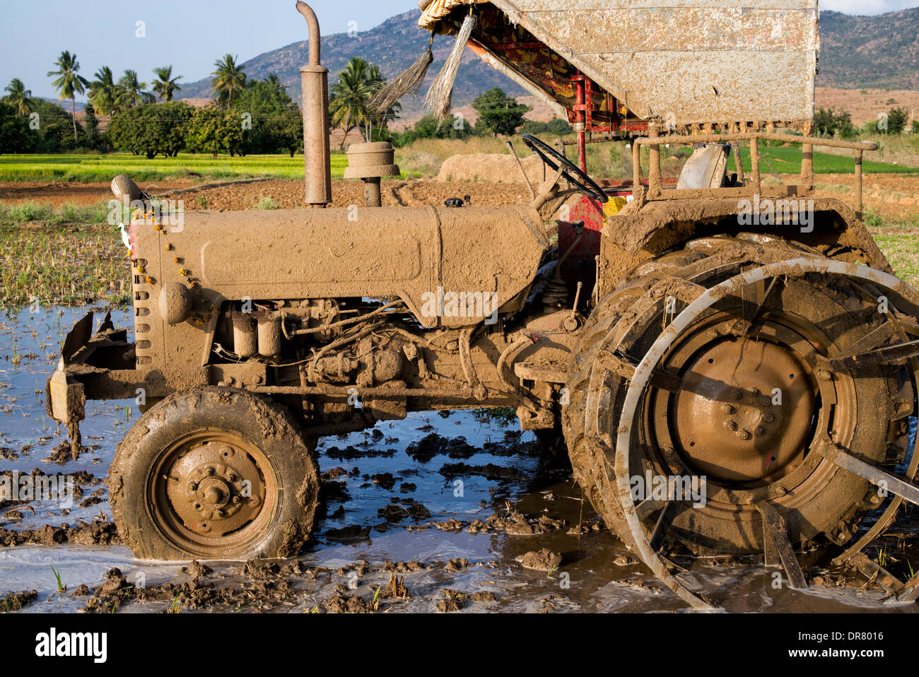 Terreni fangosi trattore utilizzato per l'aratura risaie nella campagna indiana. Andhra Pradesh, India Foto Stock