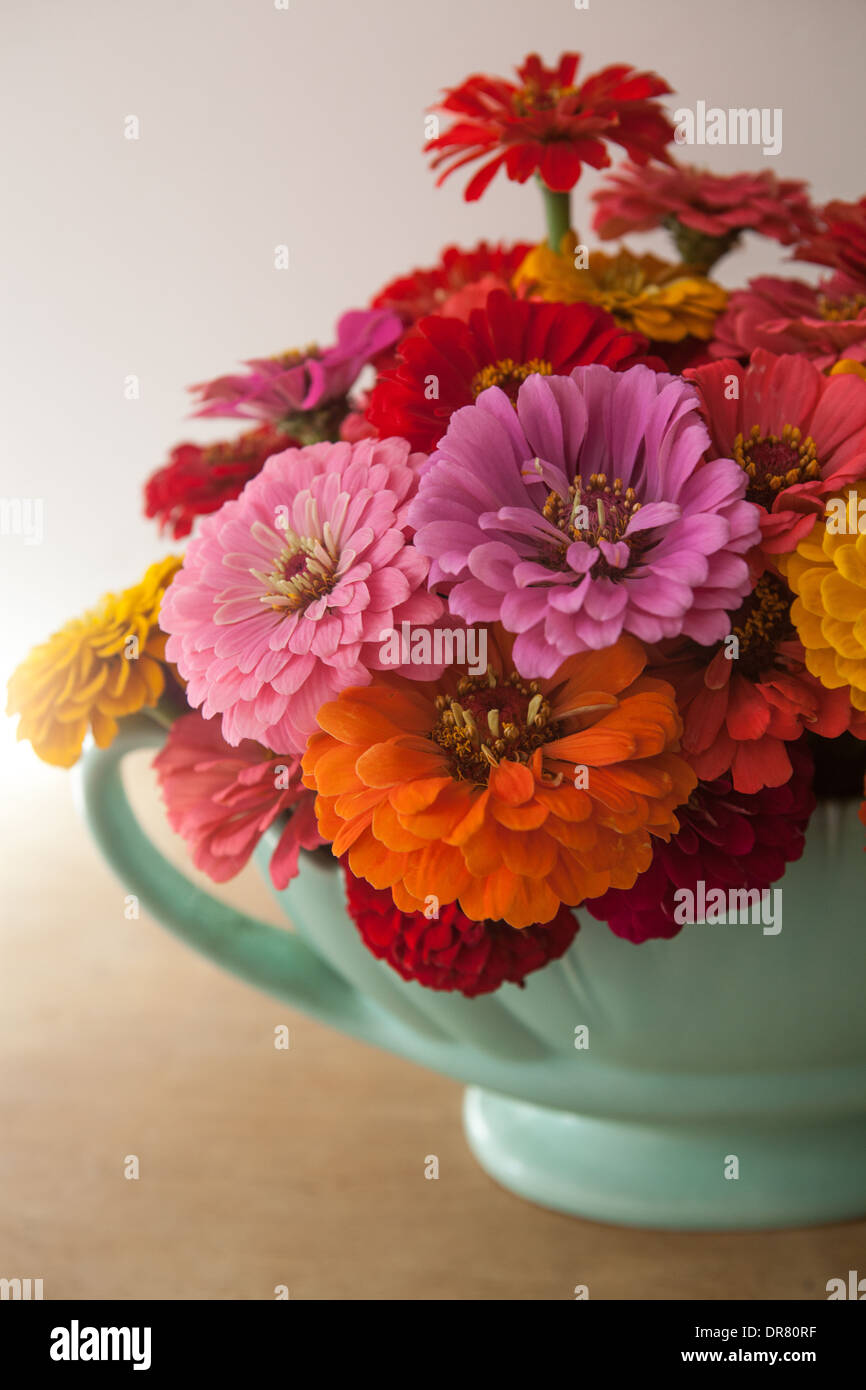 Vaso di fiori, fiori, Zinnia elegans, luminoso rosso, fiori da giardino, homegrown homegrown, vaso turchese, vintage Foto Stock