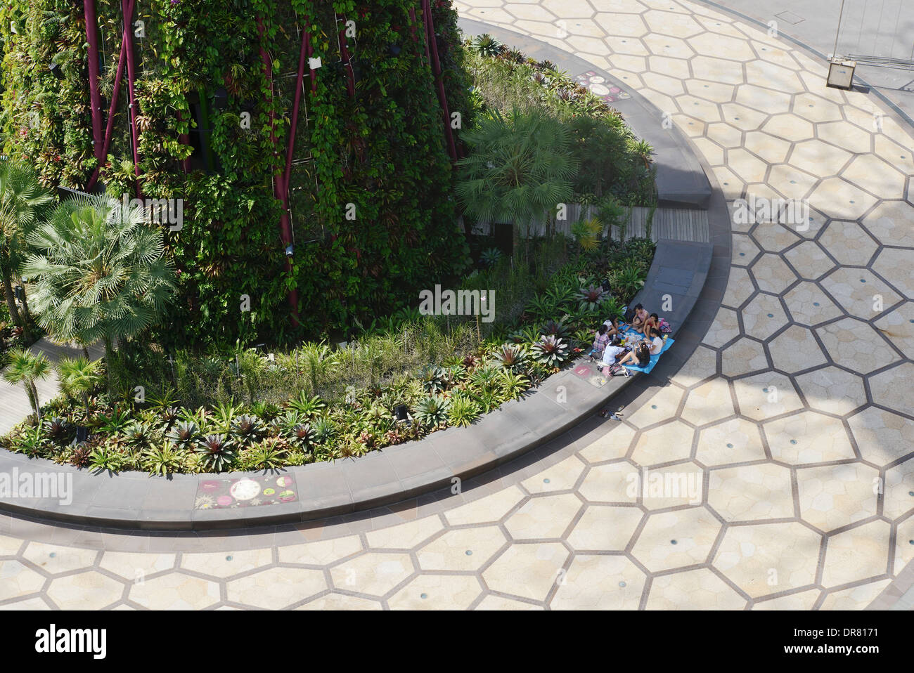 Giardini dalla baia, Singapore Singapore. Architetto: Grant Associates, 2012. Vista della parte inferiore di un 'Supertree' dal di sopra. Foto Stock