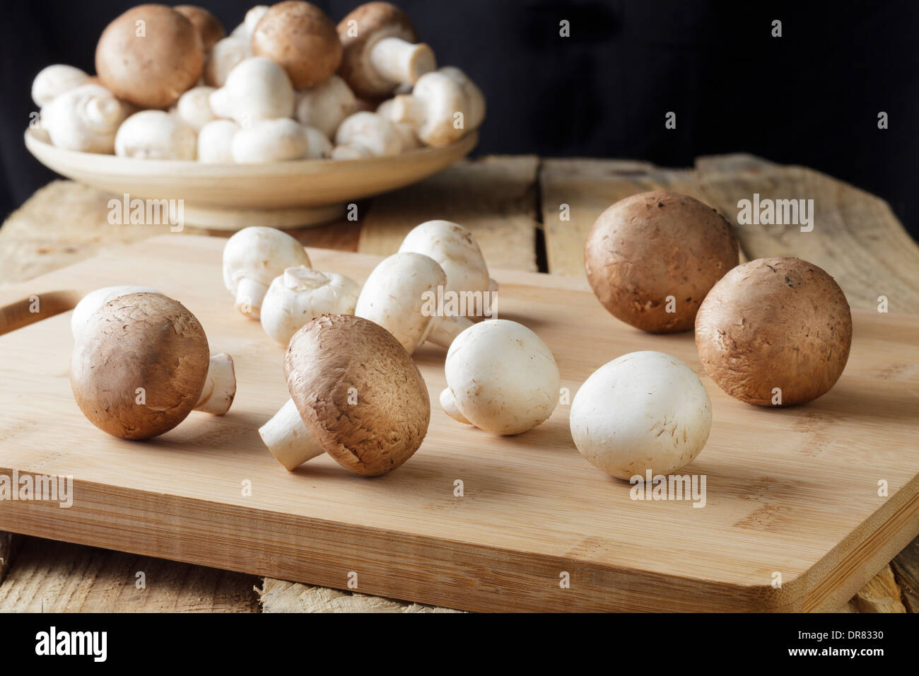 Marrone e bianco di funghi Foto Stock