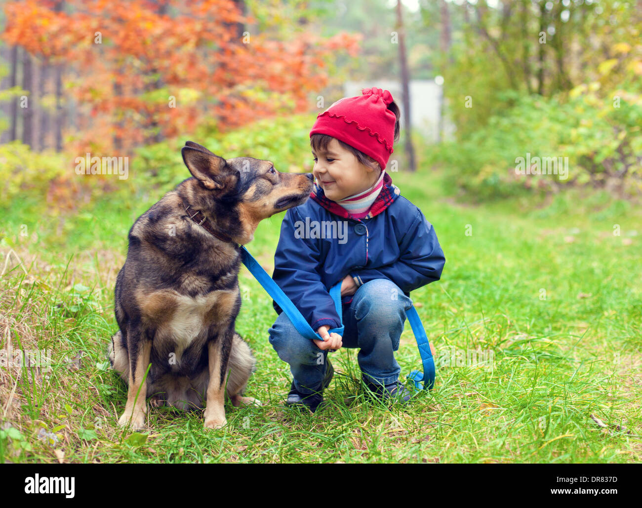 Bambina con il suo cane guardando ogni altro Foto Stock