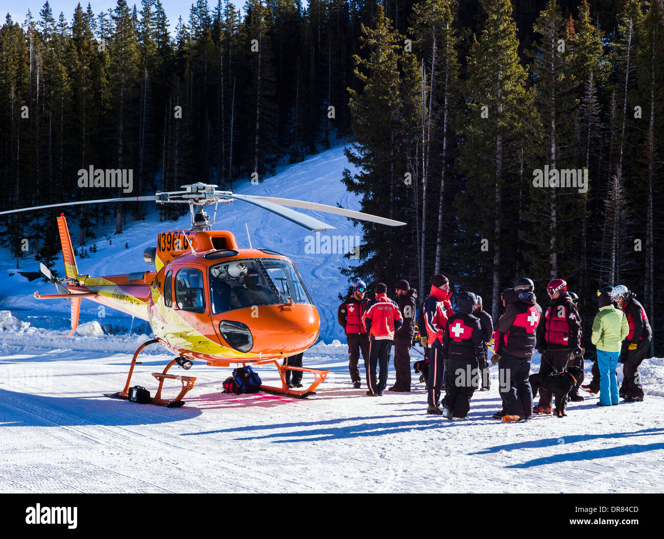 'Volo per la vita' elicottero & medical equipaggio; classe di allenamento con Monarch Nazionale della Montagna di pattuglia di sci & valanga cani di salvataggio Foto Stock