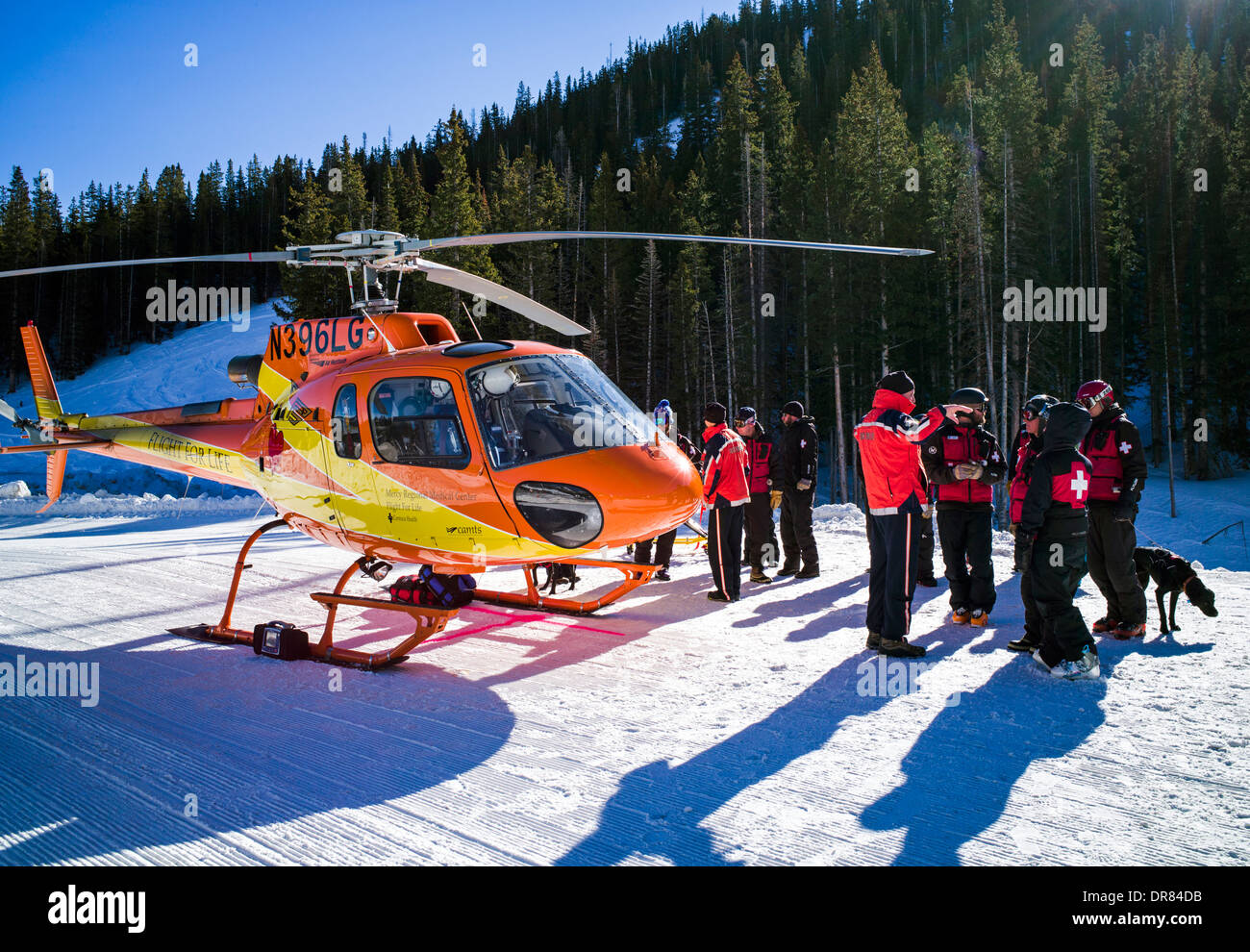 'Volo per la vita' elicottero & medical equipaggio; classe di allenamento con Monarch Nazionale della Montagna di pattuglia di sci & valanga cani di salvataggio Foto Stock