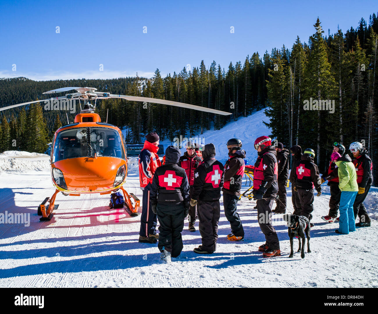 'Volo per la vita' elicottero & medical equipaggio; classe di allenamento con Monarch Nazionale della Montagna di pattuglia di sci & valanga cani di salvataggio Foto Stock