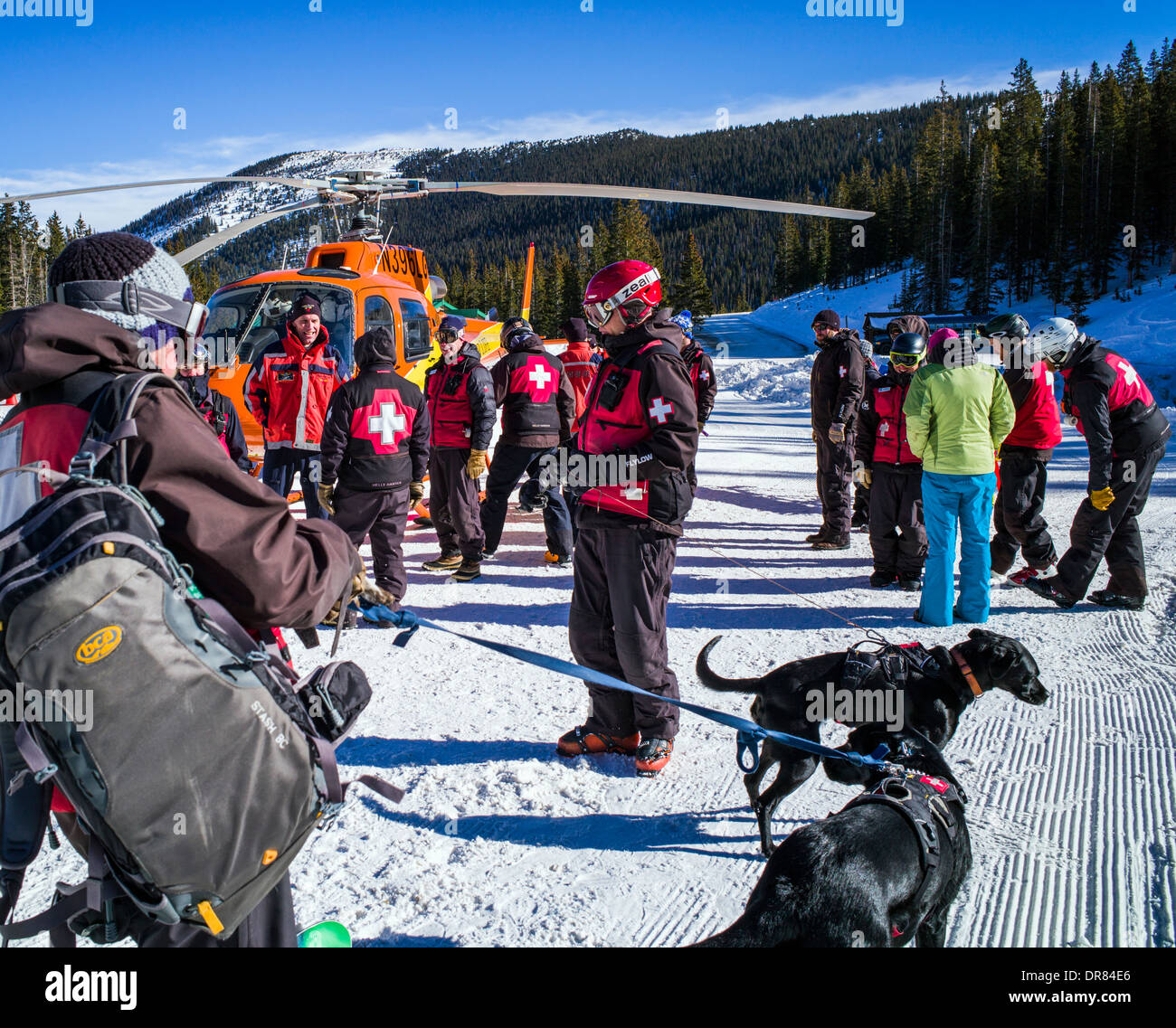 'Volo per la vita' elicottero & medical equipaggio; classe di allenamento con Monarch Nazionale della Montagna di pattuglia di sci & valanga cani di salvataggio Foto Stock