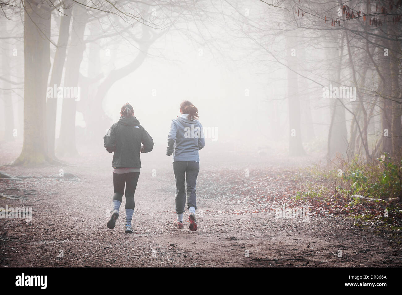 Brentwood, Essex, Regno Unito. 21 gennaio 2014 due ragazze in esecuzione attraverso la fitta nebbia avvolgenti campagna dell'Essex. Fotografo: Gordon Scammell/Alamy Live News Foto Stock