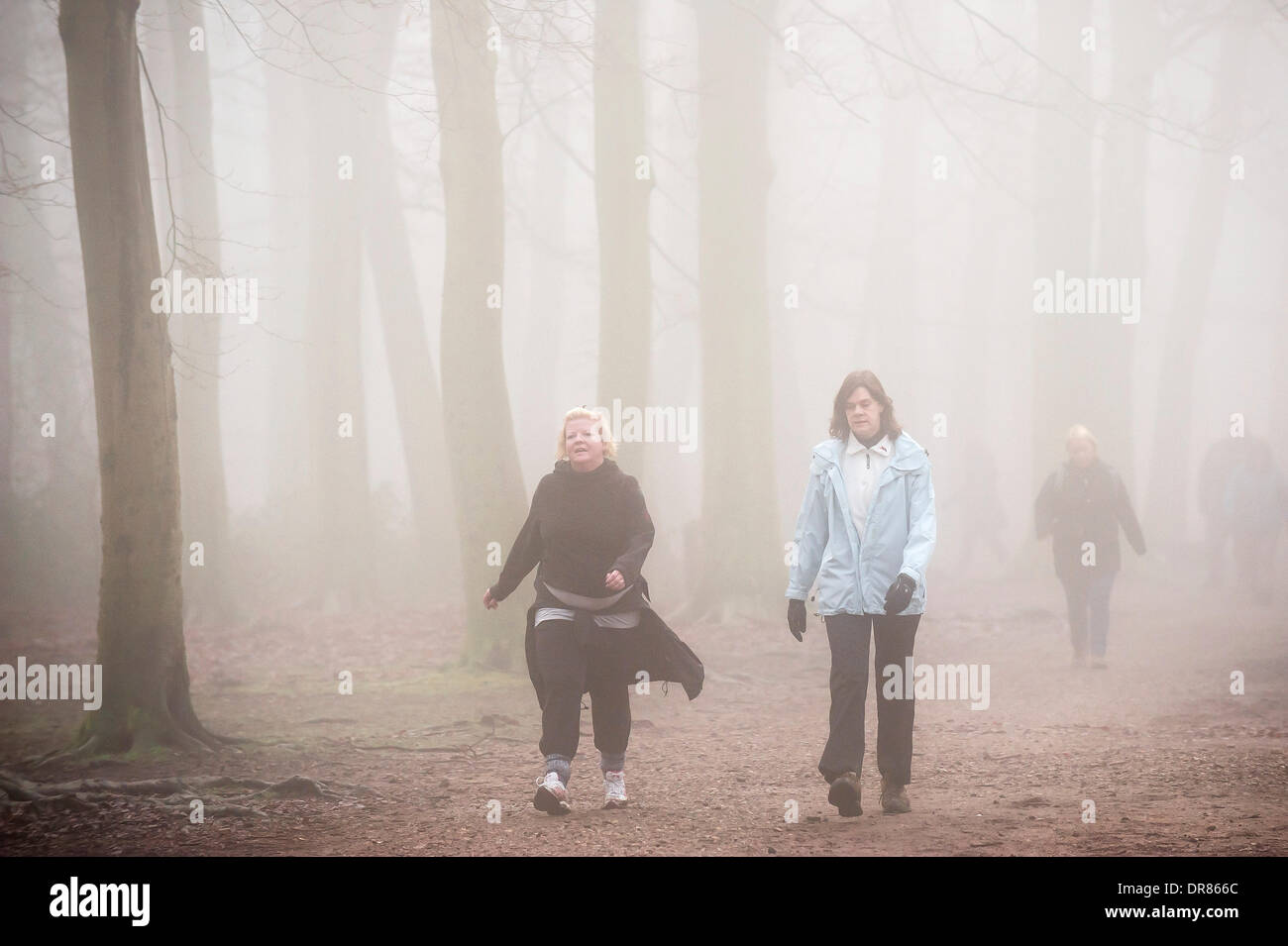 Brentwood, Essex, Regno Unito. 21 gennaio 2014 Walkers prendono il loro esercizio mattutino nonostante la fitta nebbia avvolgenti campagna dell'Essex. Fotografo: Gordon Scammell/Alamy Live News Foto Stock
