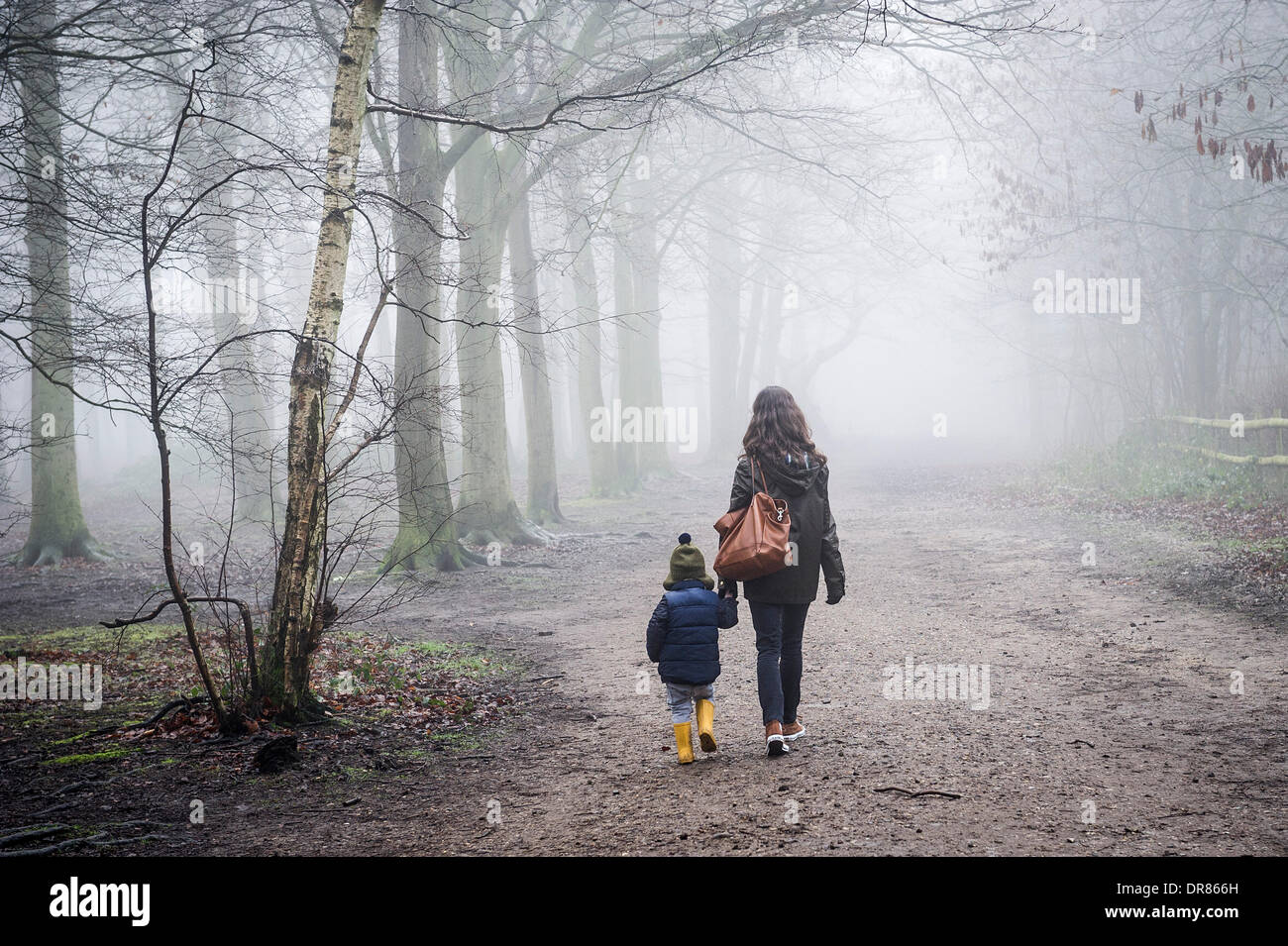 Brentwood, Essex, Regno Unito. 21 gennaio 2014 una madre e suo figlio coraggioso la fitta nebbia e condizioni di congelamento come fare una passeggiata nella campagna dell'Essex. Fotografo: Gordon Scammell/Alamy Live News Foto Stock