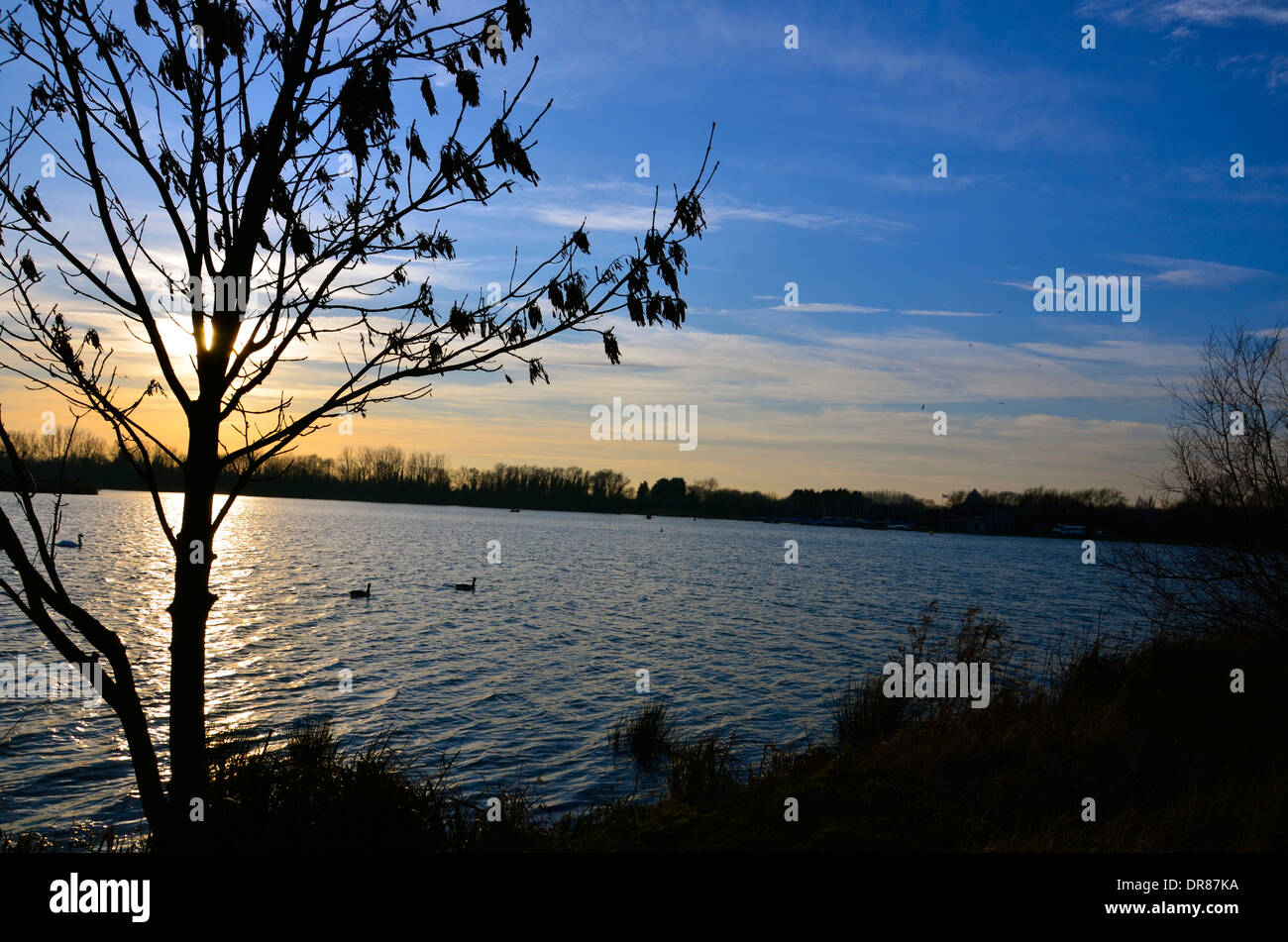 Bagliore dorato oltre il lago in barca appena prima del tramonto in Bedford Foto Stock