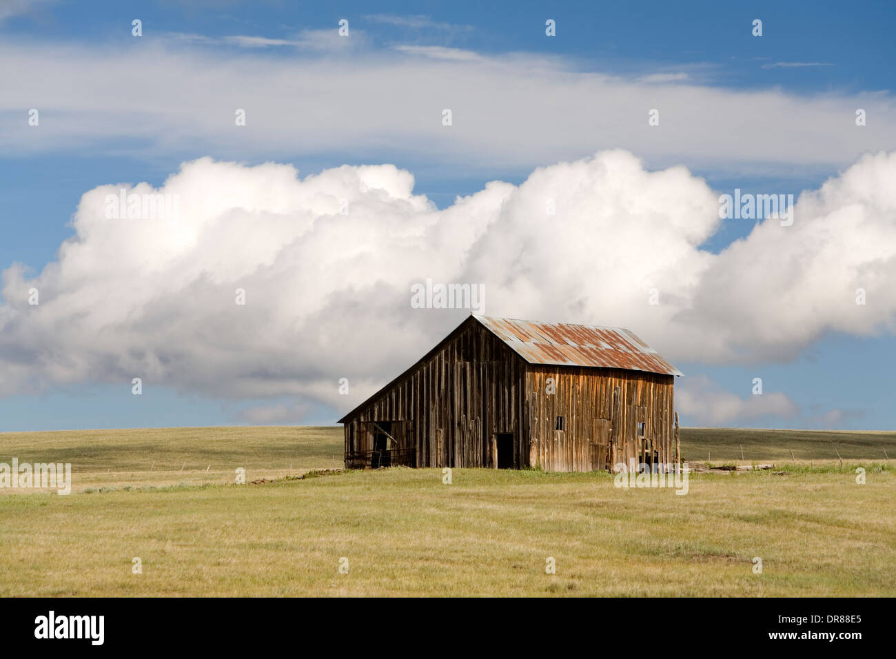 Granaio, Johnson Mesa (8,509 ft.), vicino a Raton, Nuovo Messico USA Foto Stock