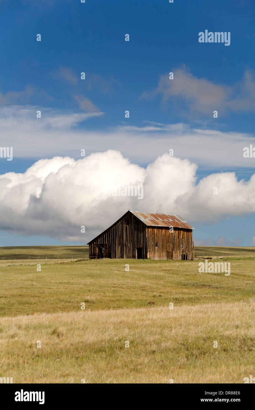 Granaio, Johnson Mesa (8,509 ft.), vicino a Raton, Nuovo Messico USA Foto Stock