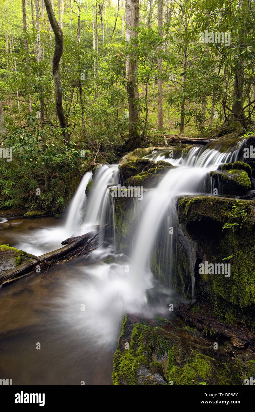 La cascata nel Parco Nazionale di Great Smoky Mountains in Tennessee Foto Stock