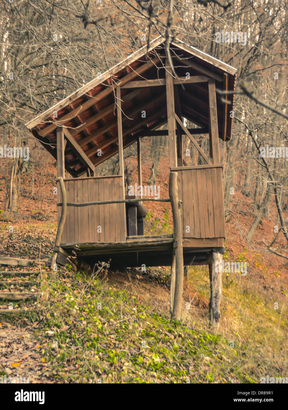 Il vecchio gazebo in legno in una foresta in Slovacchia. Foto Stock Il vecchio gazebo in legno in una foresta in Slovacchia. Foto Stock