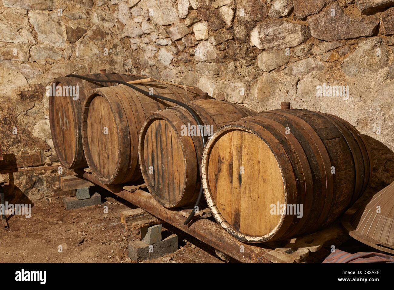 Botti da vino nella cantina del tipico tedesco storico edificio in Bolnisi, Kvemo Kartli, Georgia Foto Stock