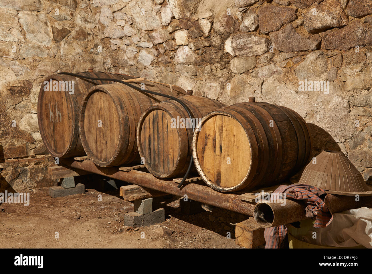 Botti da vino nella cantina del tipico tedesco storico edificio in Bolnisi, Kvemo Kartli, Georgia Foto Stock