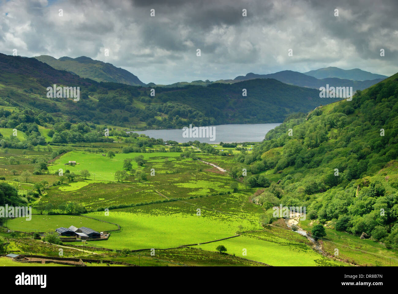 Landsacpe gallese di Nant Gwynant in Snowdonia con Llyn Gwynant dietro Foto Stock