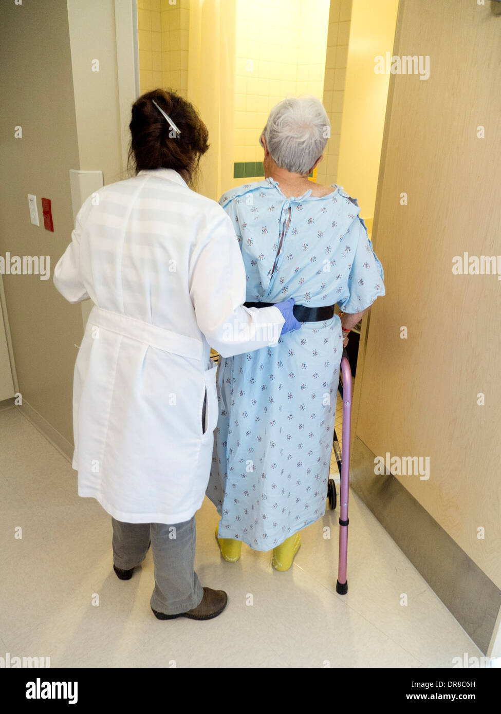 Un terapista fisico consente una chirurgia dell'anca paziente utilizzare un walker in un Southern California ospedale. Nota cintura di sicurezza per il terapista per afferrare. Foto Stock