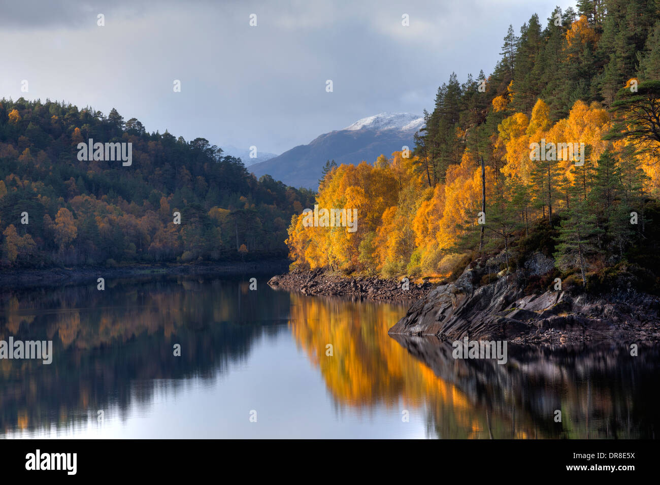 Glen Affric su una spettacolare ancora e soleggiata giornata autunnale che mostra tutti i bellissimi colori delle foglie modifica Foto Stock