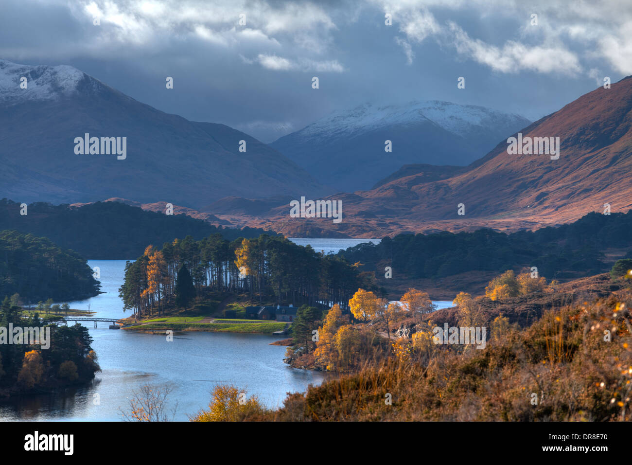 Glen Affric su una spettacolare ancora e soleggiata giornata autunnale che mostra tutti i bellissimi colori delle foglie modifica Foto Stock