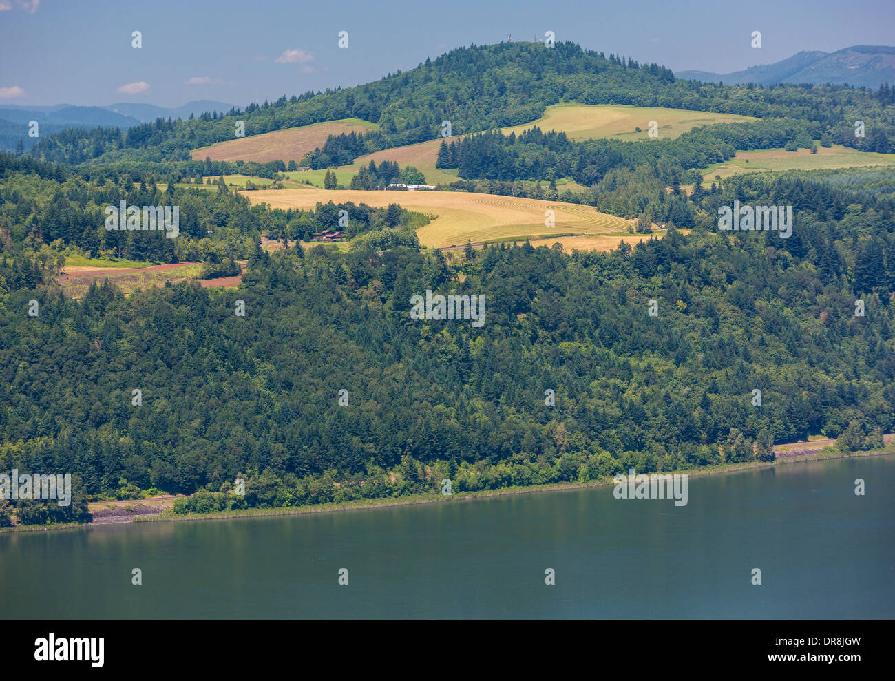 La Columbia River Gorge, WASHINGTON, STATI UNITI D'AMERICA - Columbia River e terreni agricoli. Foto Stock