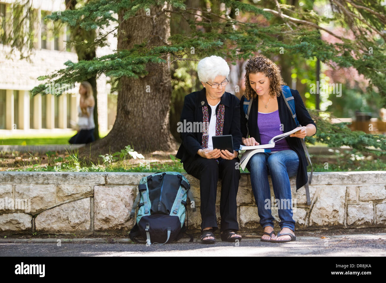 Professore universitario assistenza degli studenti Foto Stock