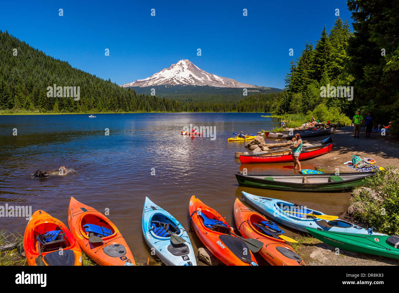 Governo CAMP,Oregon, Stati Uniti d'America - Persone, canoe e kayak a Trillium lago e monte Cofano. Foto Stock